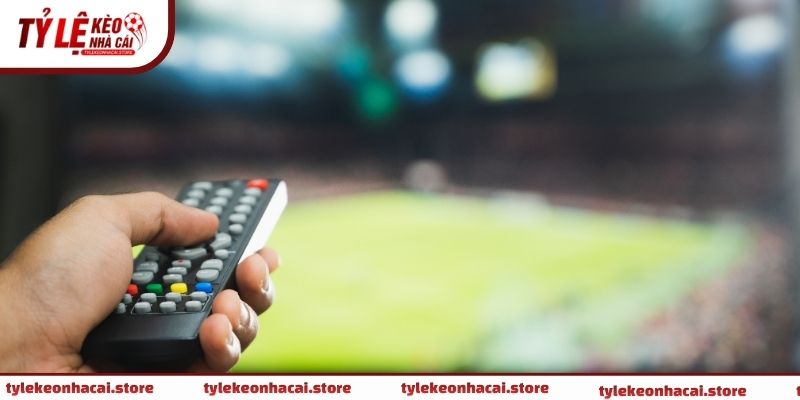 Những ngộ nhận về cách cá cược bóng đá luôn thắng thường xuất phát từ chuỗi thắng ngắn hạn