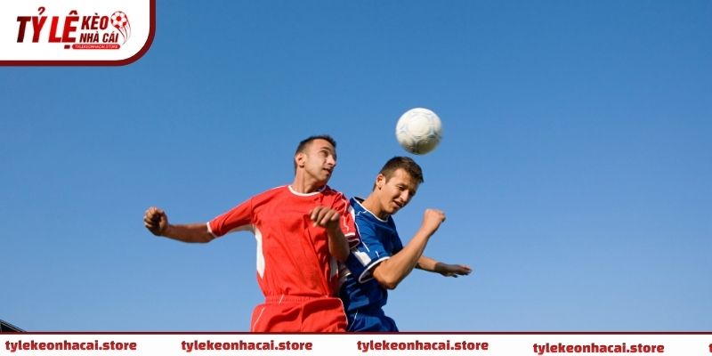 So sánh kèo 0.25 với kèo 0.5 giúp người chơi chọn mức rủi ro phù hợp