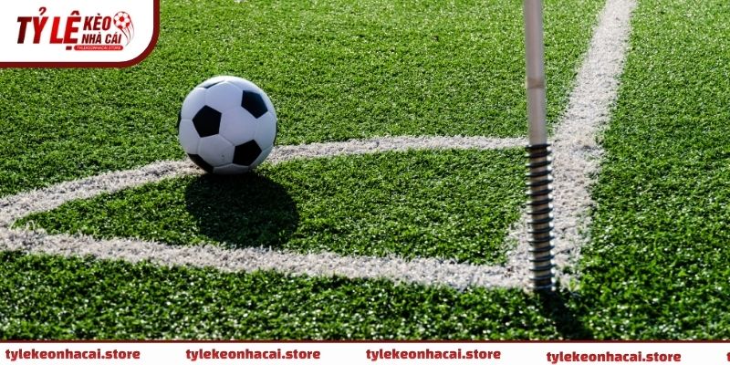 Áp dụng đúng thời điểm giúp giảm rủi ro và tăng độ chính xác