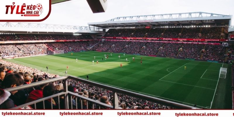 Khi hiểu đúng tài xỉu 3 trái là sao, người xem sẽ tránh được những nhầm lẫn phổ biến 